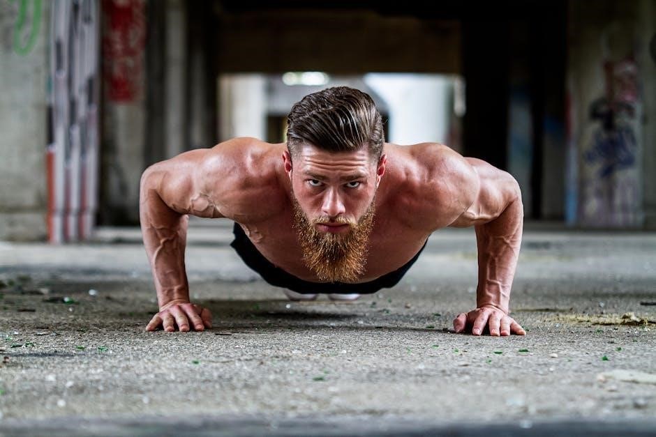 calisthenics training pdf