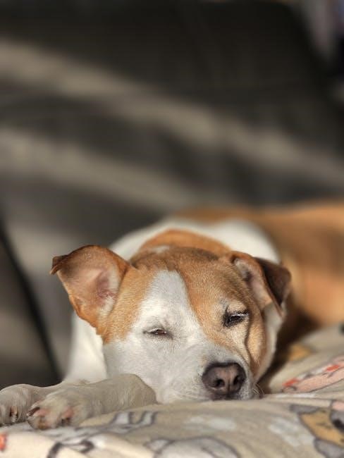 instructions for sunbeam electric blanket